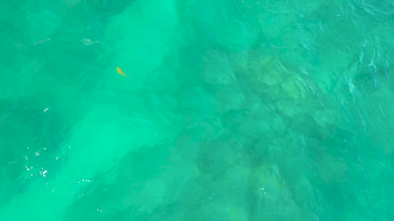 At Shipwrecks Beach, Baja California Sur, the overhead view shows rippled blue-green water, darker underwater patches, and the small yellow subject near the top of frame with no visible people.