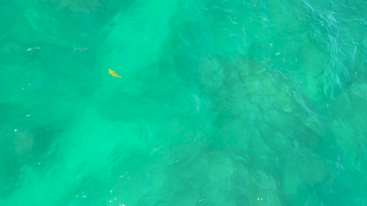 At Shipwrecks Beach, Baja California Sur, the small yellow subject sits high in the overhead turquoise water while darker submerged shapes spread below, with no visible people.
