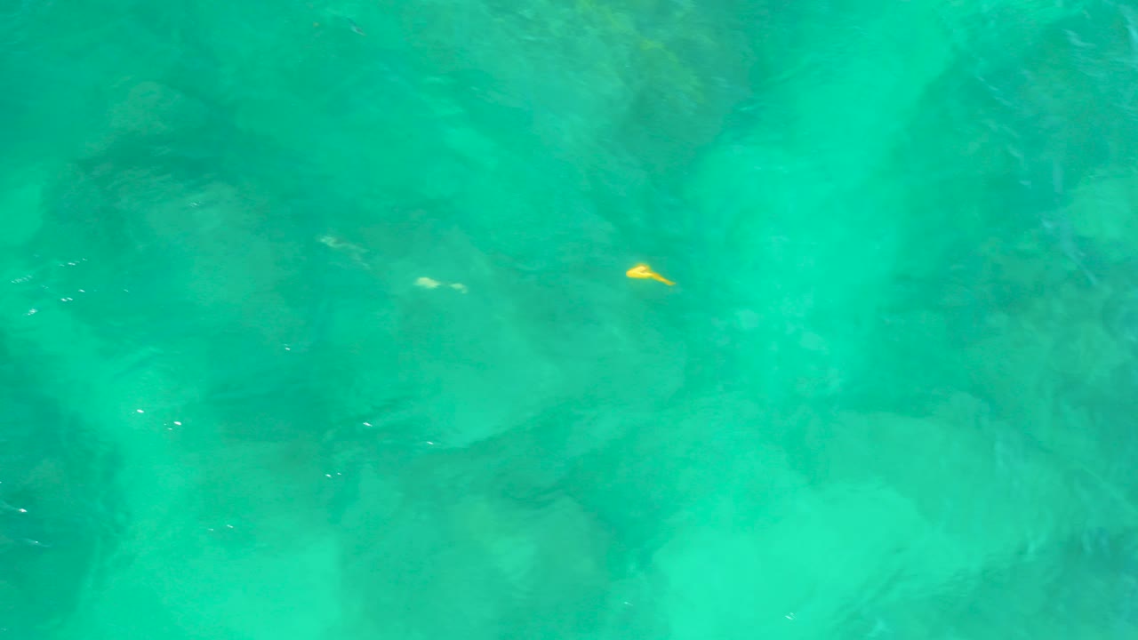 Overhead blue green water at Shipwrecks Beach, Baja California Sur, with a small yellow fish near the upper left and no visible people.