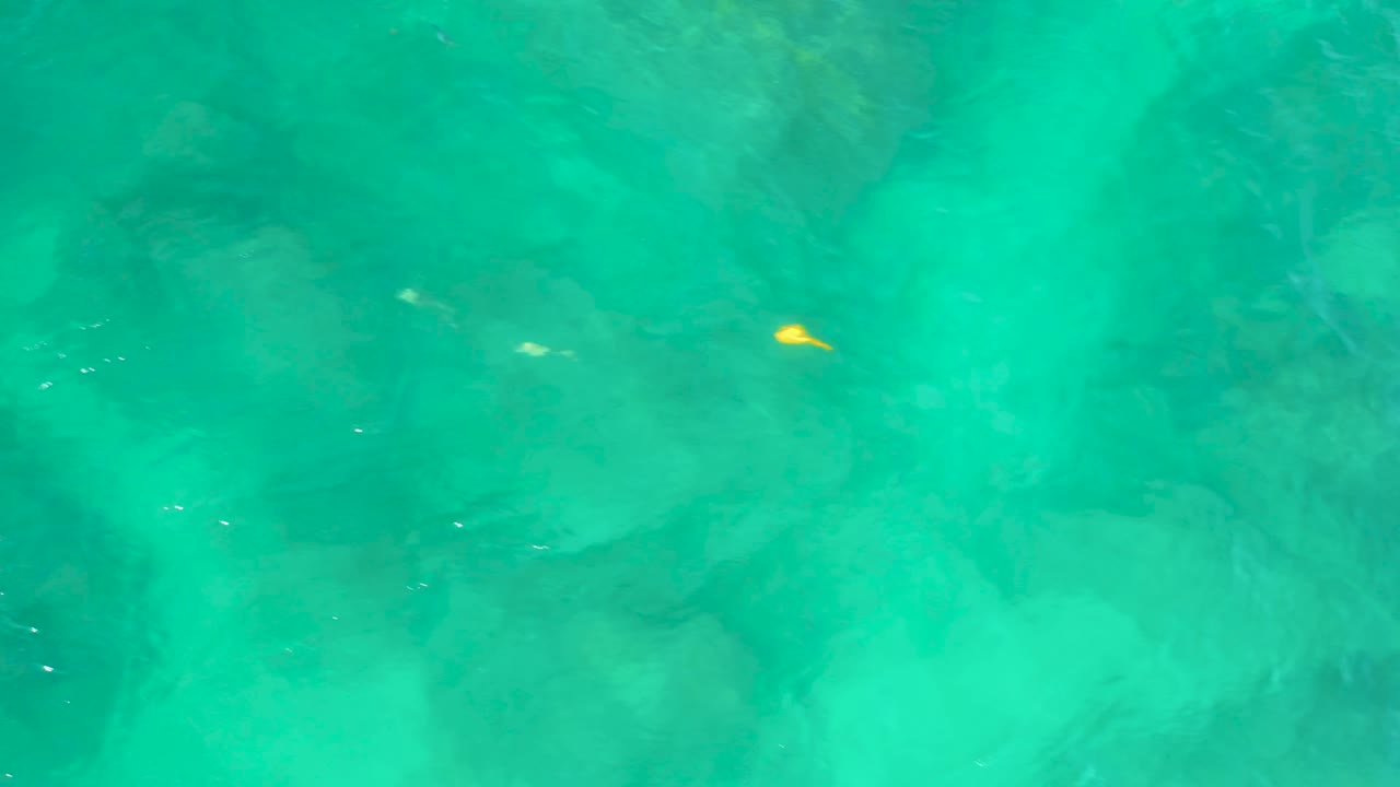 Overhead coastal water at Shipwrecks Beach with a small yellow fish near the upper center, faint white glints, and no visible people.