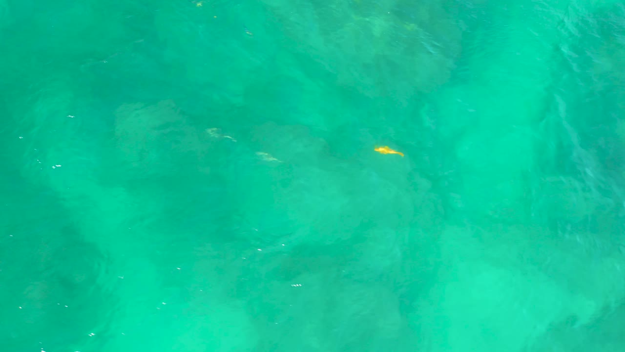 Steep overhead view of blue green water at Shipwrecks Beach, with a small yellow fish near the upper right area and no visible people.