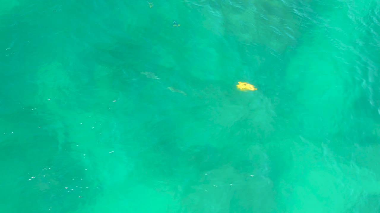 Green ocean water with a yellow fish left of center.