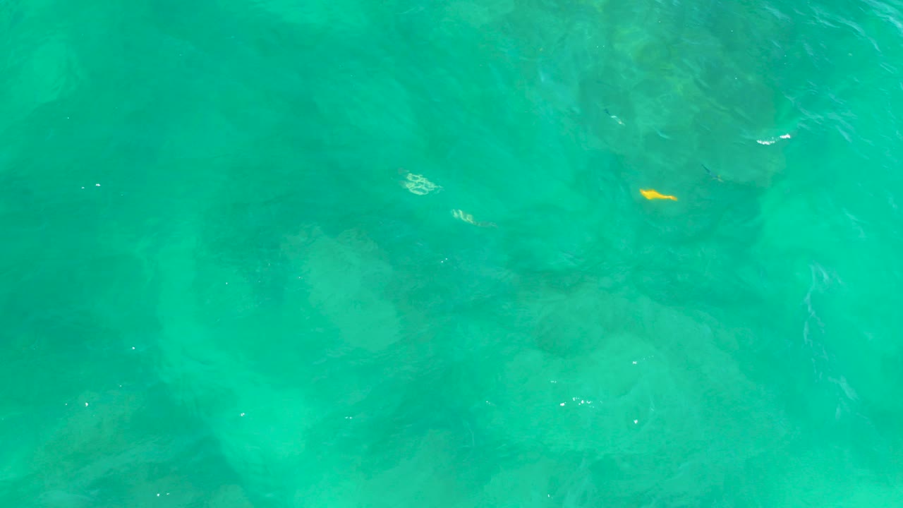 At 0:00, a small yellow fish appears near the upper center of clear turquoise water at Shipwrecks Beach, Baja California Sur, with dark submerged rocks below and no visible people.