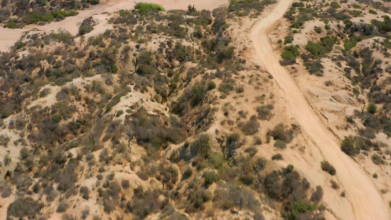 Top-down frame at Shipwrecks Beach, Baja California Sur, showing eroded sandy channels, scattered shrubs, and the dirt path crossing the right side, with no visible people.