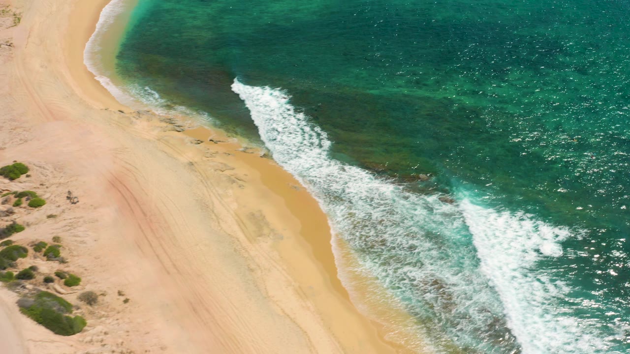 Aerial beach view with dune shrubs and surf on the right