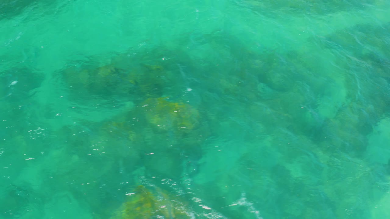 Turquoise water over submerged dark rocks and green plants.