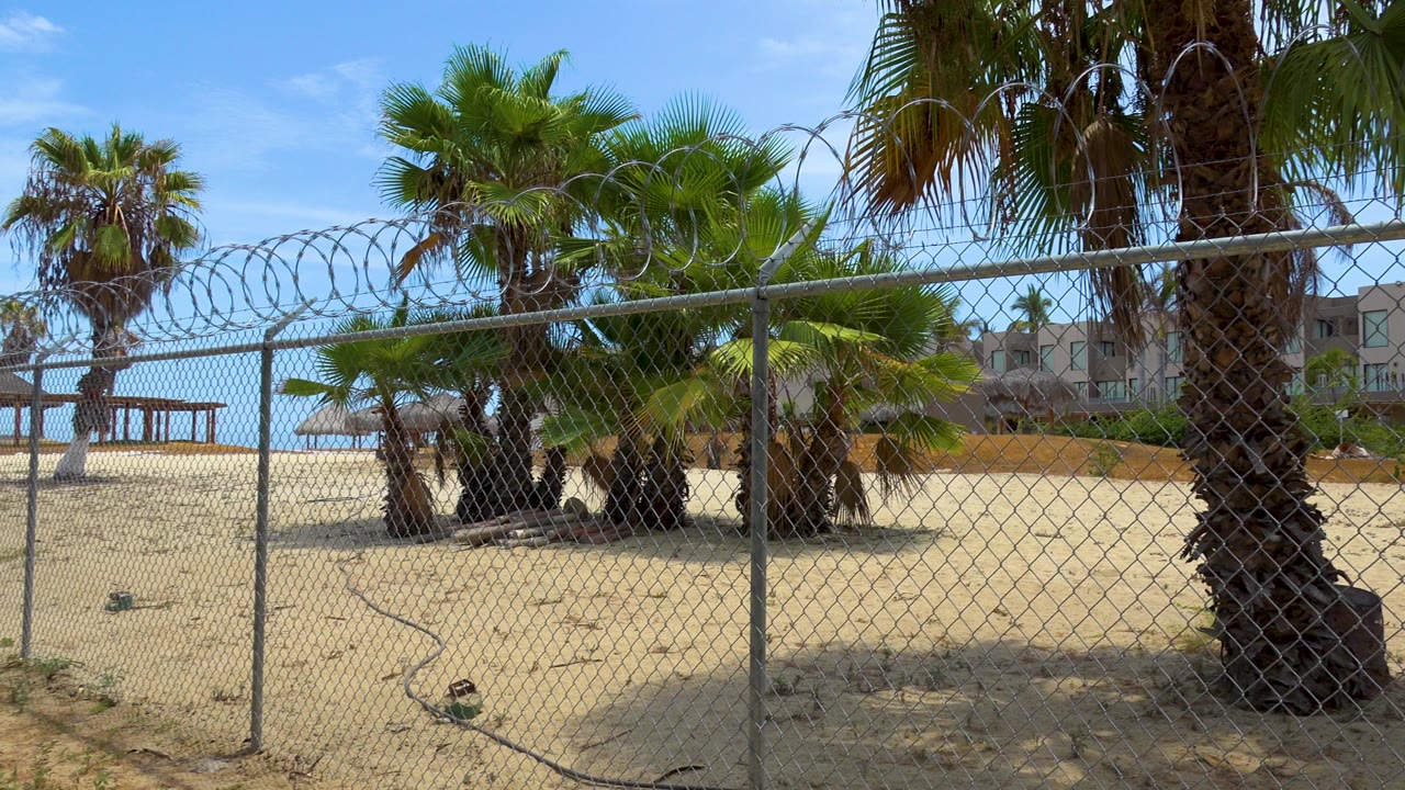 A close fence line and barbed-wire coils sit before a cluster of palms on sand in San Jose del Cabo, with low buildings in the distance and no visible people.