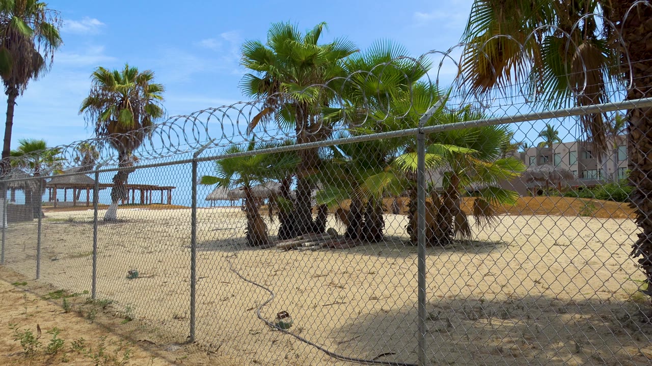 A sandy lot behind a chain-link and barbed-wire fence shows palms, a black hose on the ground, distant structures, and bright sky in San Jose del Cabo, with no visible people.