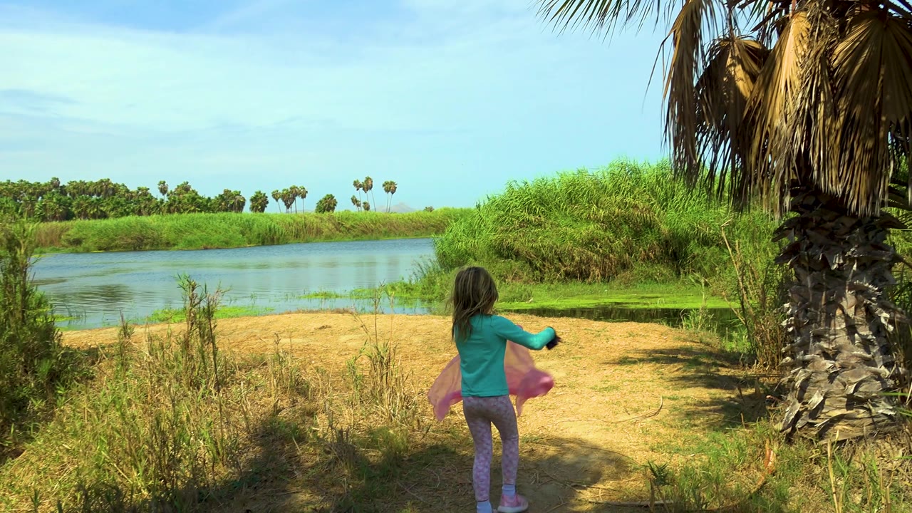 The child moves away from camera in San Jose del Cabo with the pink cloth trailing to her side, framed by a palm trunk on the right, grasses, water, and a bright blue sky.