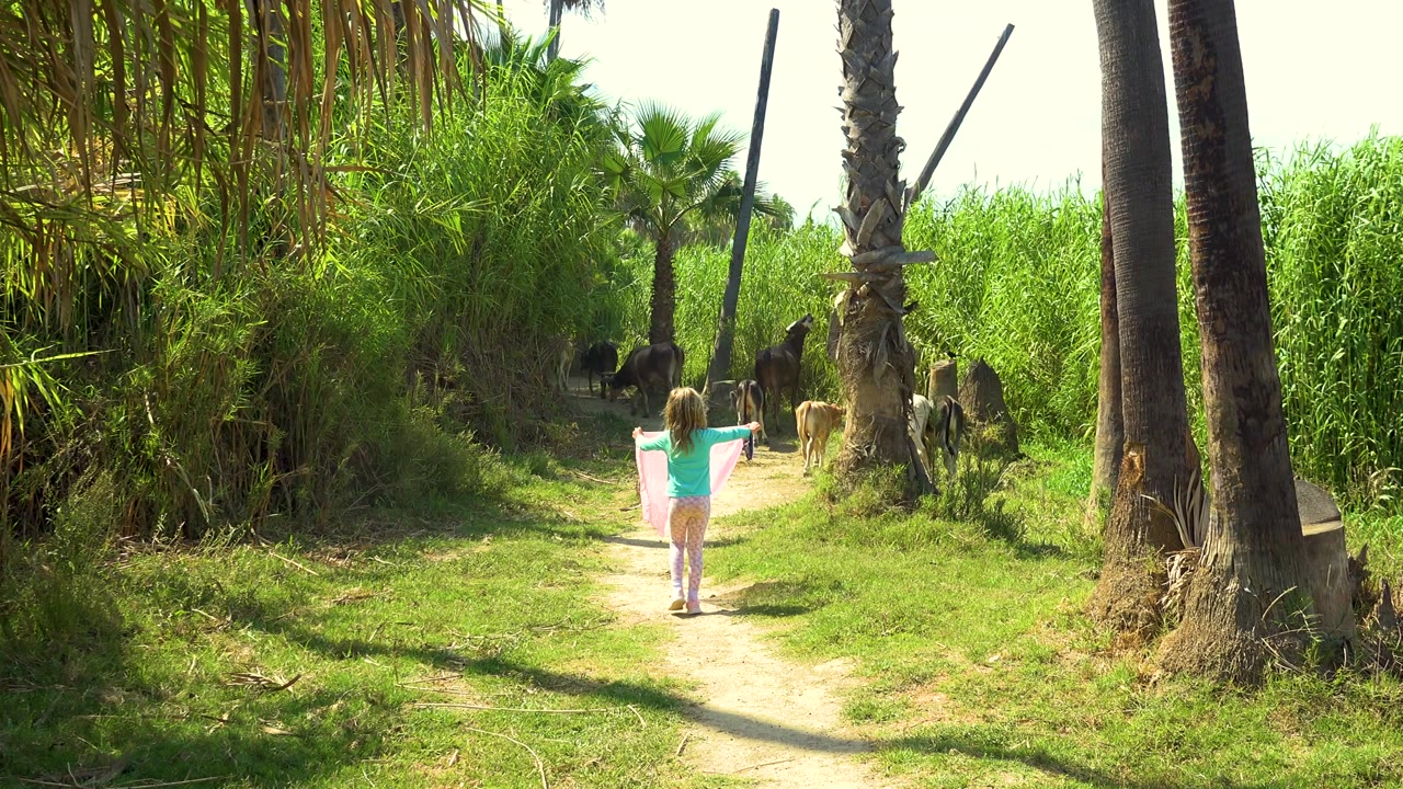 At the start of the clip, a young girl in a turquoise top walks away from camera on a dirt path in San Jose Del Cabo, Mexico, with sheep and cattle ahead among tall green plants.