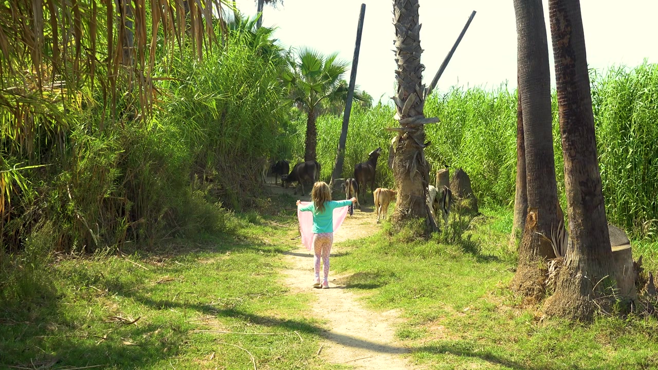 Girl holding a pink cloth while approaching animals on the path.