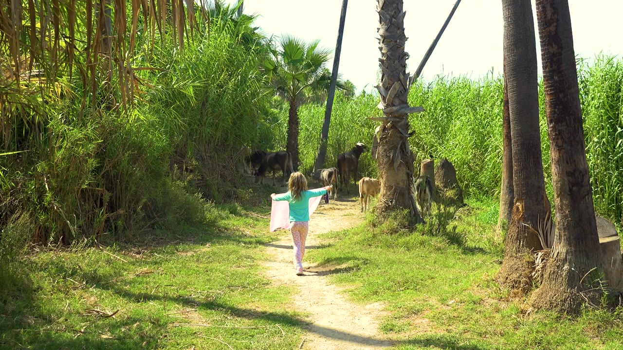 The child remains centered on the dirt path in San Jose Del Cabo, Mexico, with a dark animal in the shaded left background and lighter livestock near palm trunks on the right.
