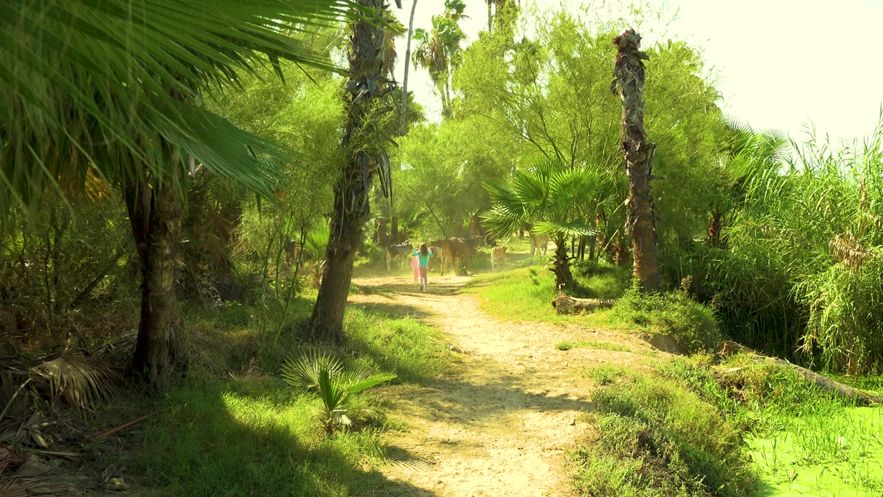 Green shaded path with palms, reeds, and distant people near animals.