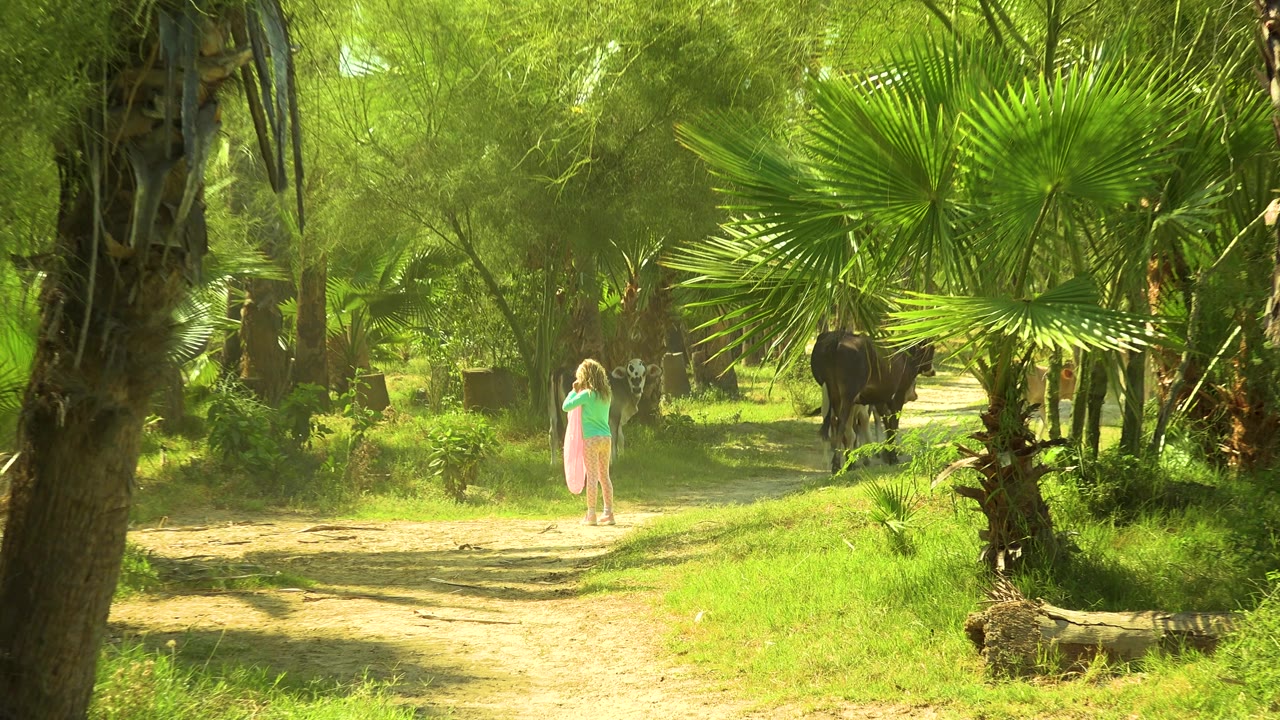Young girl facing cattle on a palm-lined path in bright green shade.