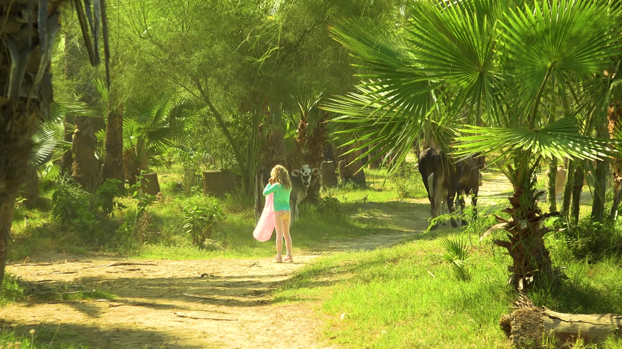 In San Jose Del Cabo, Mexico, the girl shifts to the right side of the trail holding pink fabric while black-and-white cattle stand partly hidden by palms.