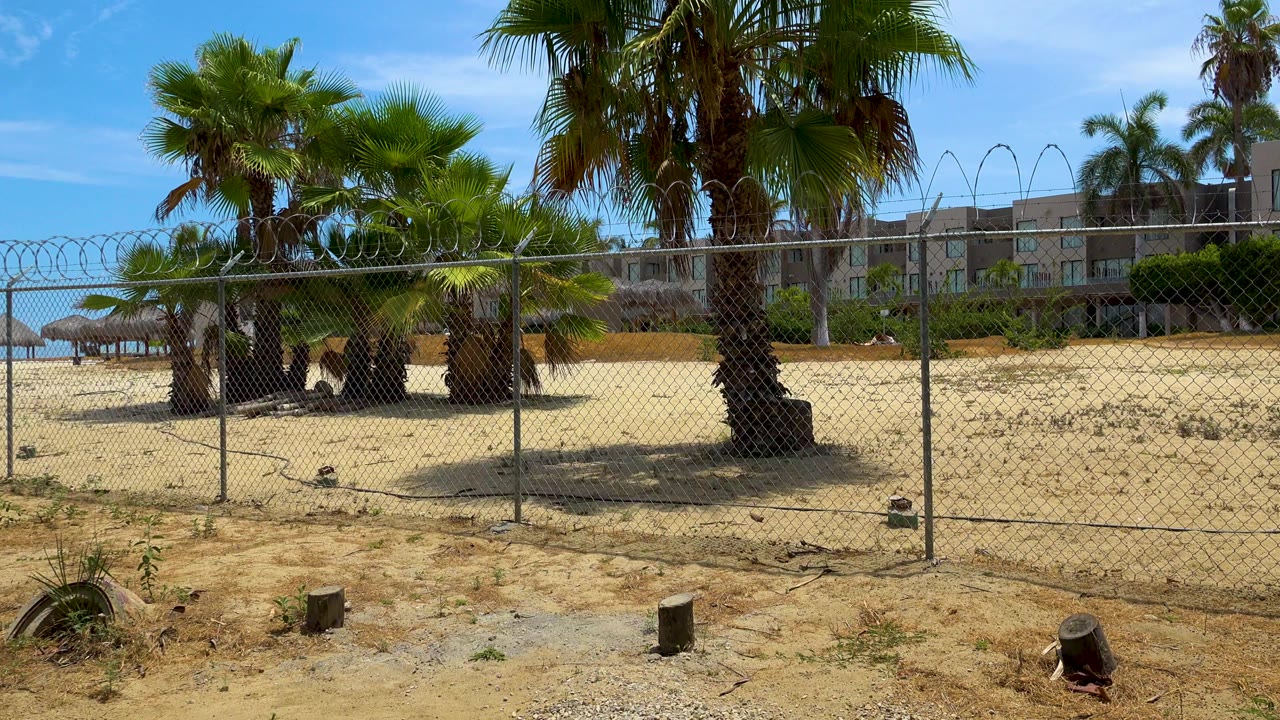 Palm trees and a fenced sandy beach area under blue sky.