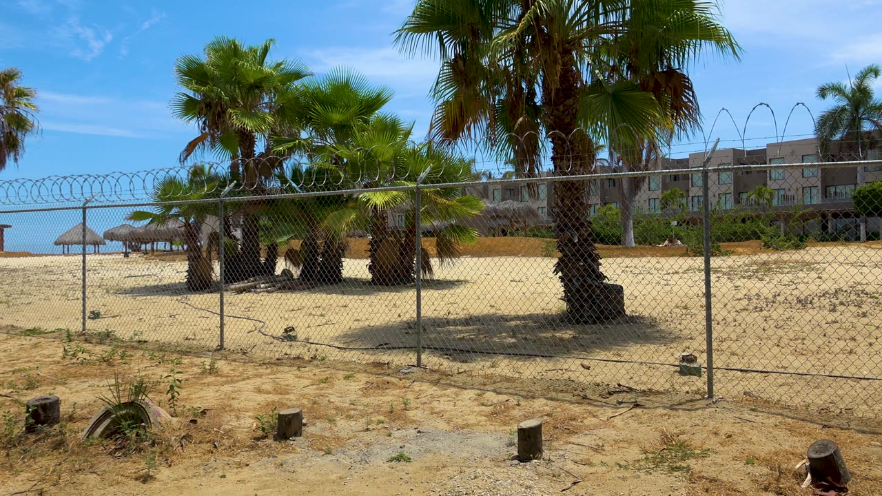 Fourth frame shifts the San Jose Del Cabo beach edge so a thatched shade hut and glimpse of water appear on the left, with palms and fencing across the middle and no visible people.