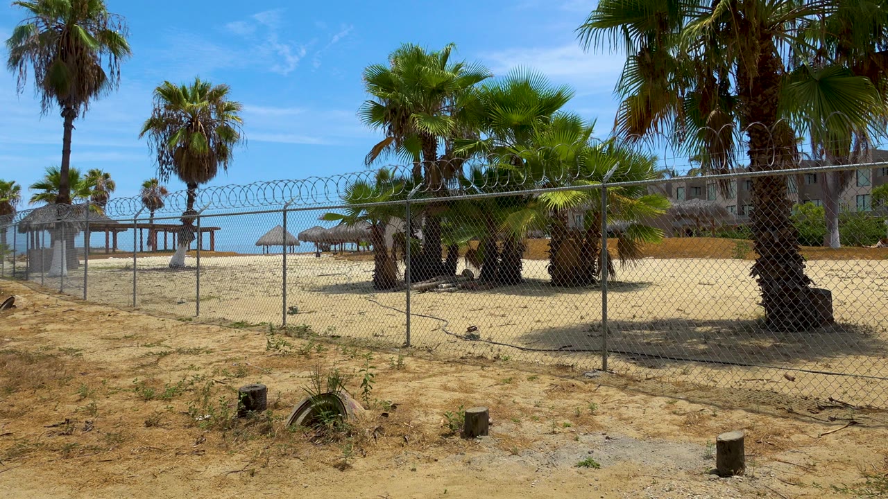 Palm trees and thatched huts behind a chain-link fence on sandy ground.