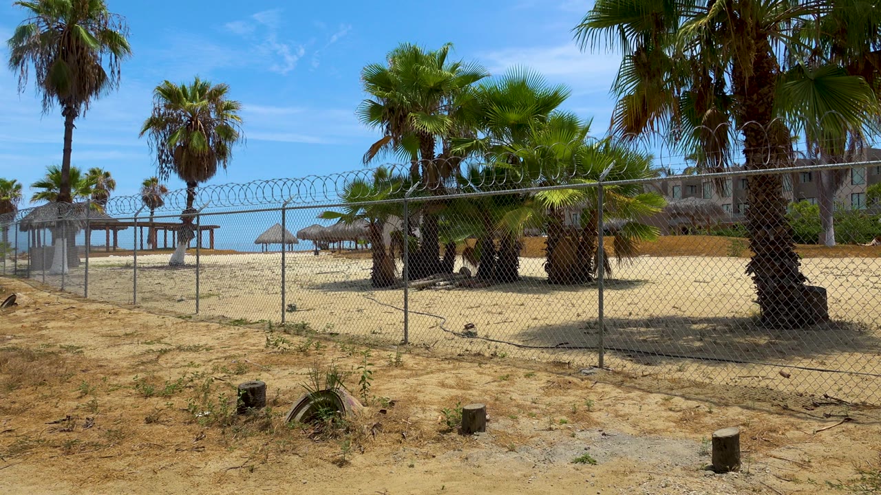 San Jose del Cabo beach-side view with the fence running across the frame, clustered palms on the right, shade huts near the water, and no visible people.