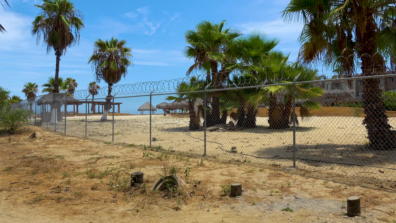 Mid-clip San Jose del Cabo frame with a central fence line, palms of different heights, thatched huts to the left of the palms, pale sand, and no visible people.