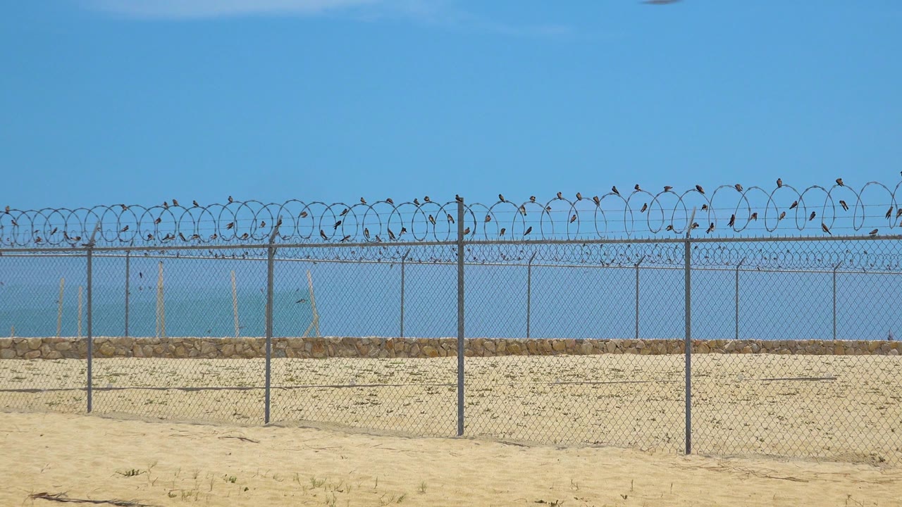 Barbed wire fence across a sandy beach with ocean behind it.