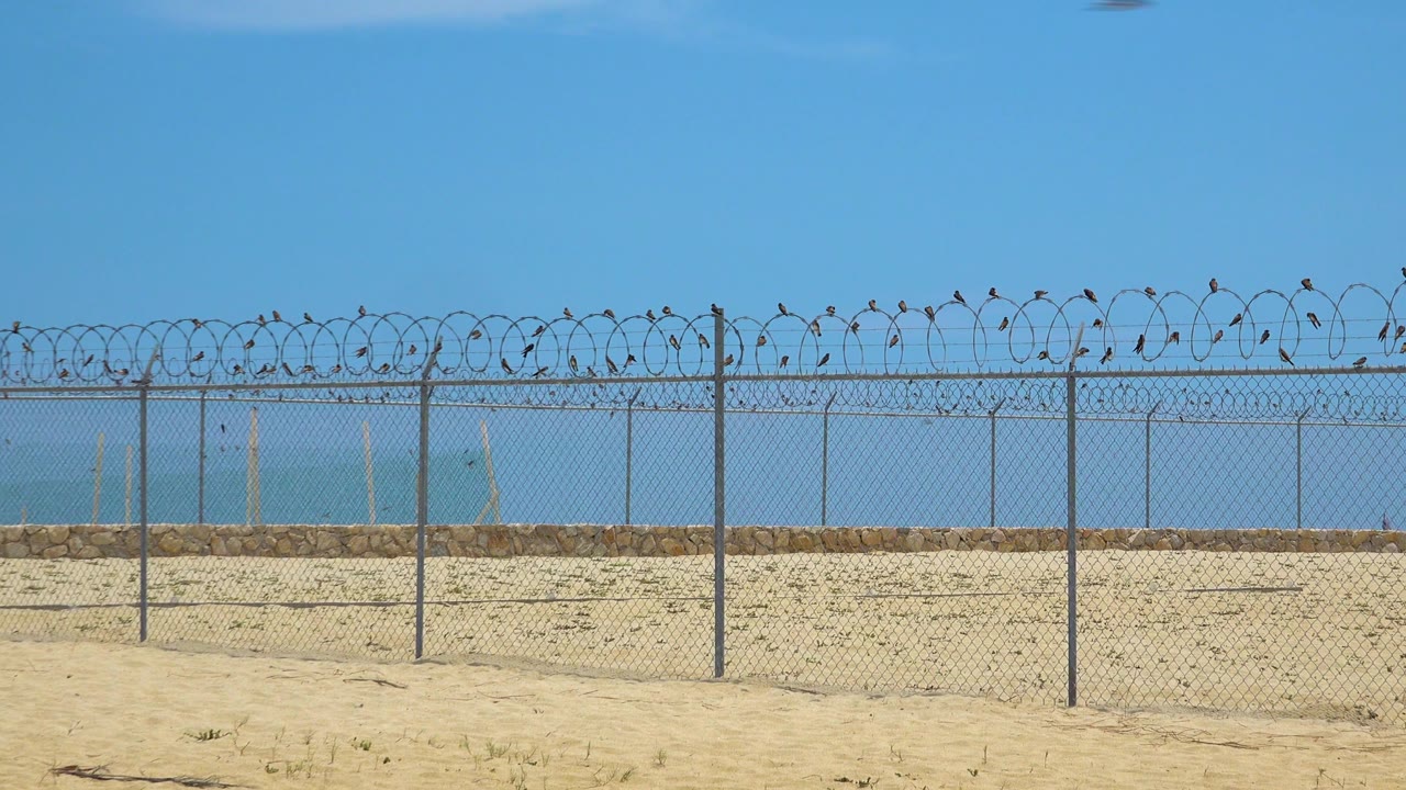 The fence remains centered across the San Jose Del Cabo beach, with razor wire silhouetted against a clear blue sky and no visible people.
