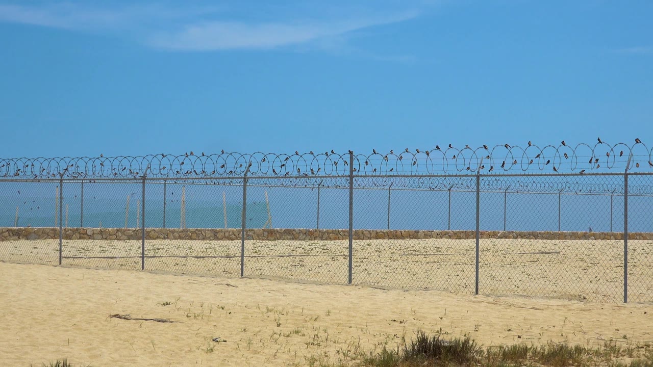 The chain-link barrier crosses the San Jose Del Cabo sand, with layered barbed wire above, blue water behind, and no visible people.