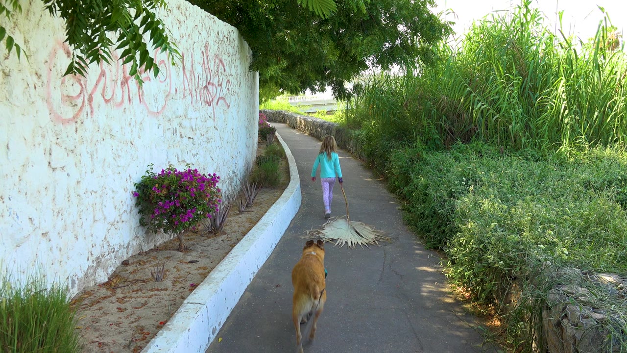 Girl farther down the path with dog centered behind her.