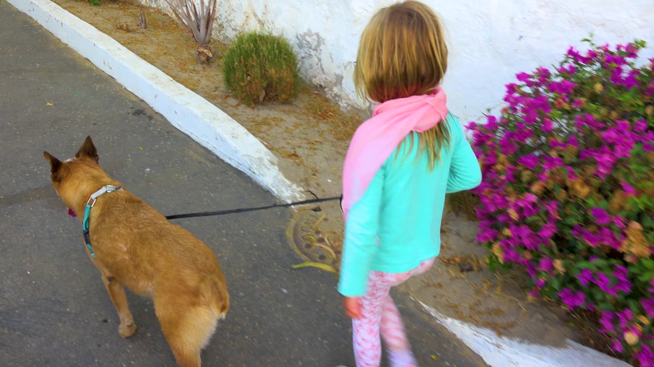 Girl and dog continue along the paved walkway near a flowering shrub.