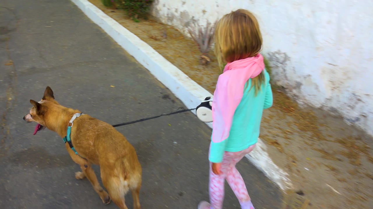In San Jose del Cabo, Mexico, the tan dog walks ahead of the girl as they pass a white wall, with dry soil and sparse plants lining the edge of the walkway.