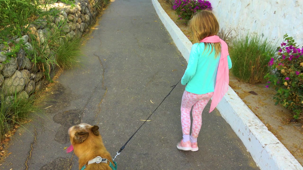 A young girl in pink leggings and a turquoise top walks a brown dog on a black leash along a planted paved path in San Jose del Cabo, Mexico.