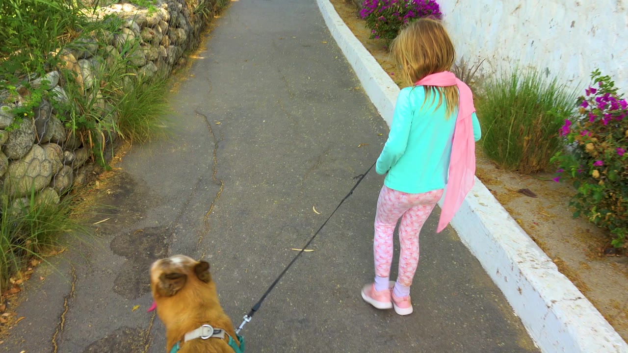Girl and brown dog continue along a path beside a white wall and plants.
