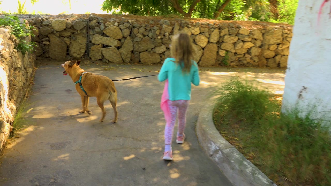 A young girl in a turquoise top walks behind a tan dog on a leashed path beside stone walls in San Jose del Cabo, Mexico.