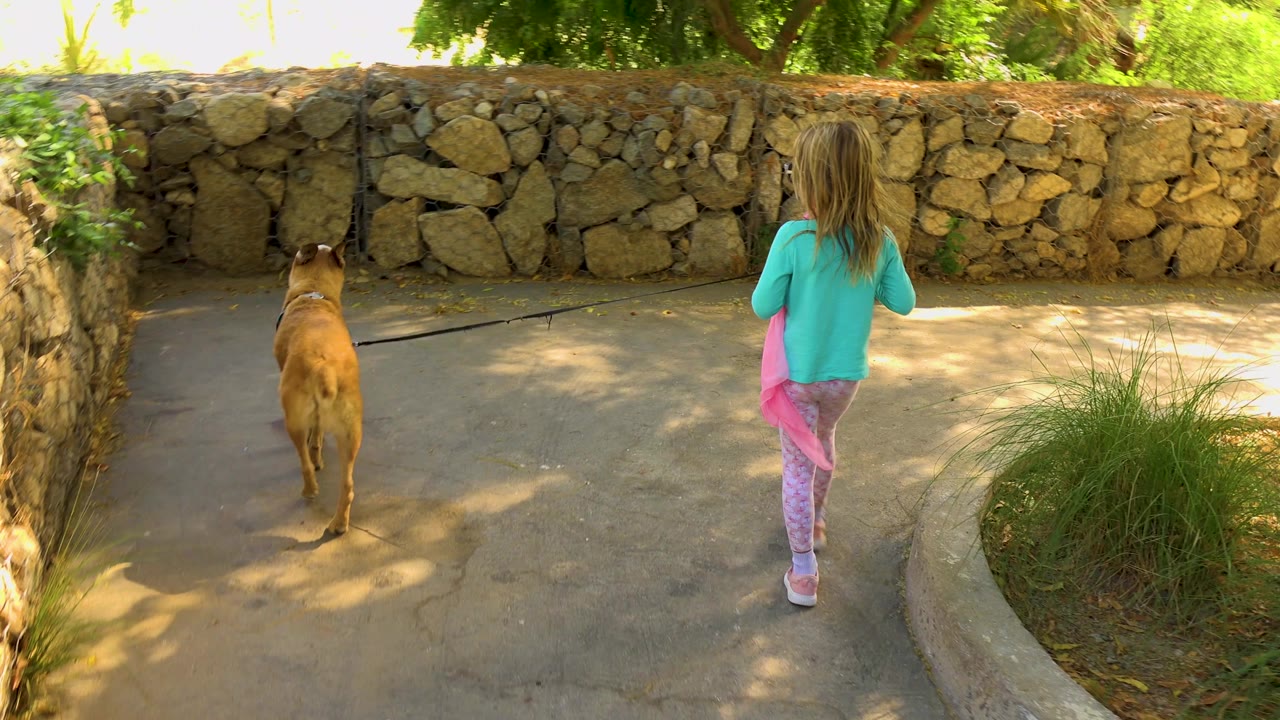 The girl and leashed tan dog move farther down the paved backyard path toward a low stone wall under bright sun in San Jose del Cabo, Mexico.