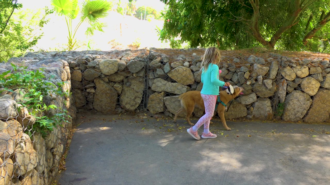 The child and tan dog move right along the paved path, with the stone wall filling the background in San Jose del Cabo, Mexico.