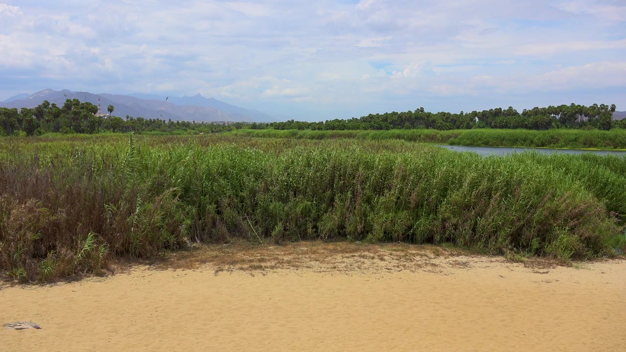 Opening frame of a San Jose del Cabo landscape with sand in front, tall grasses and water through the middle, distant hills under a cloudy sky, and no visible people.