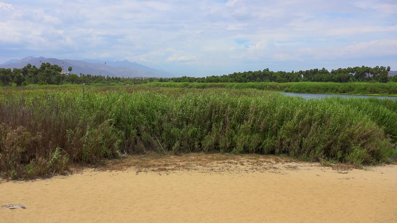 San Jose del Cabo frame with a wider band of green grass, blue water visible near the right side, hazy hills in back, scattered clouds, and no visible people.