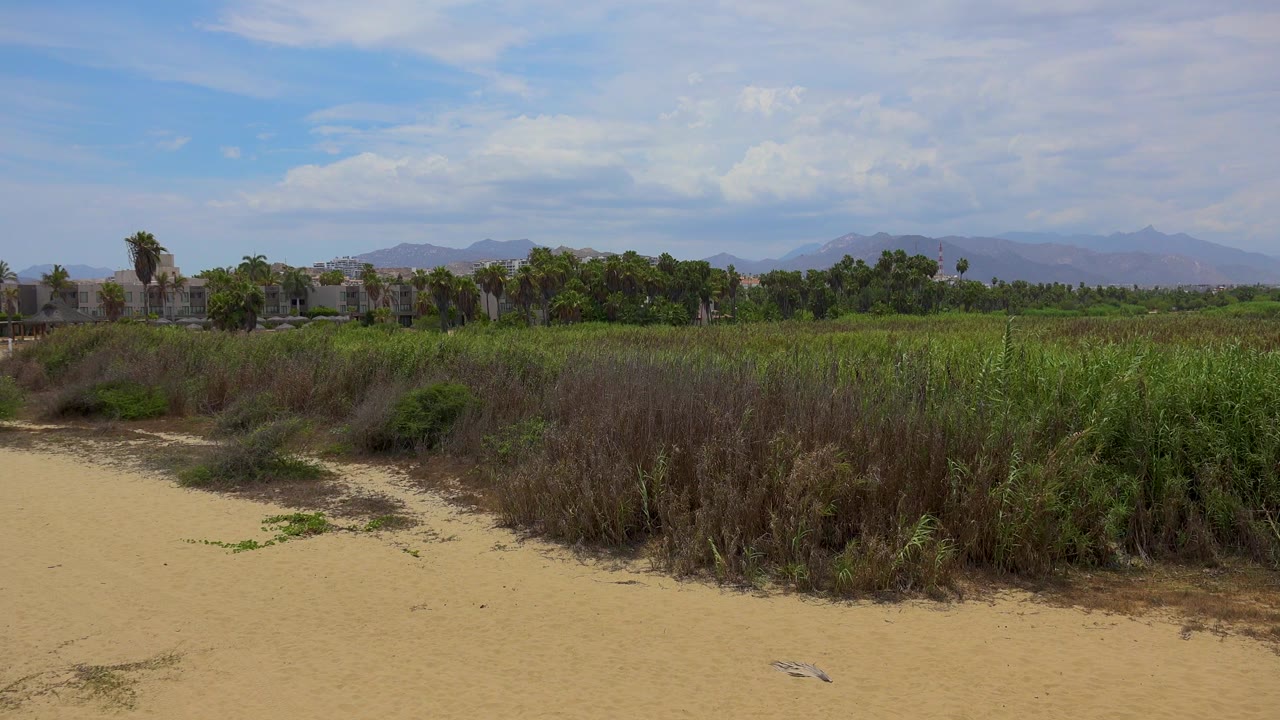 Wide San Jose Del Cabo landscape with sandy foreground, tall green and brown grass, palms, distant mountains, clouded blue sky, and no visible people.
