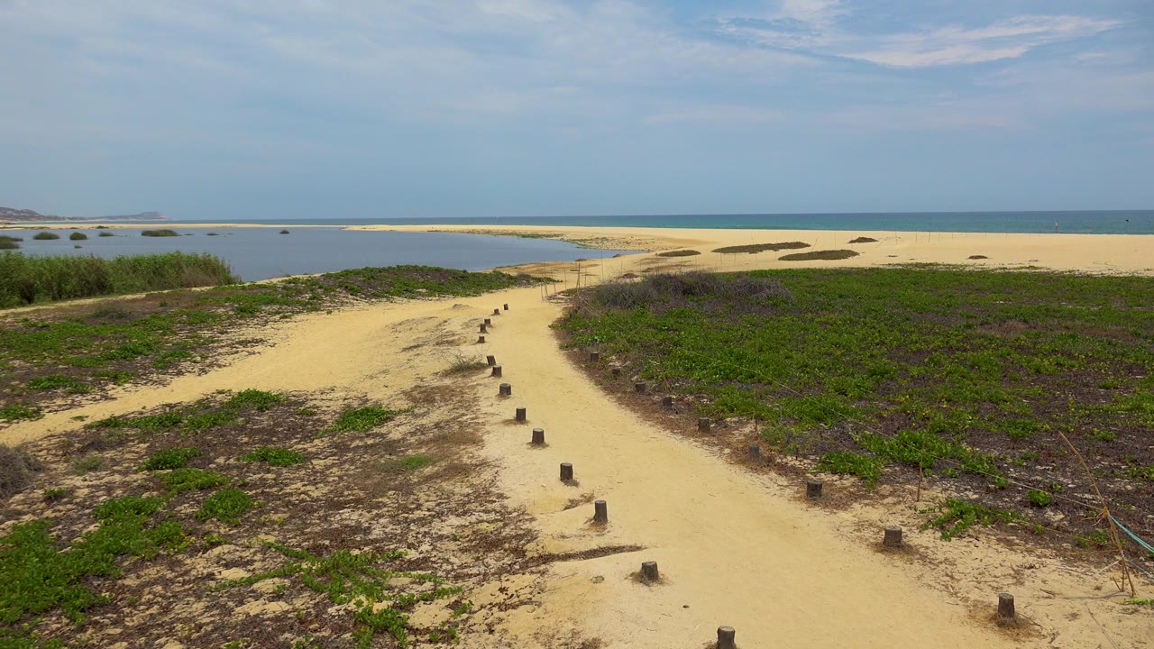 San Jose del Cabo sand path curves through scrubby green beach plants, with marker posts receding into the middle distance, a pale sandbar ahead, and no visible people.