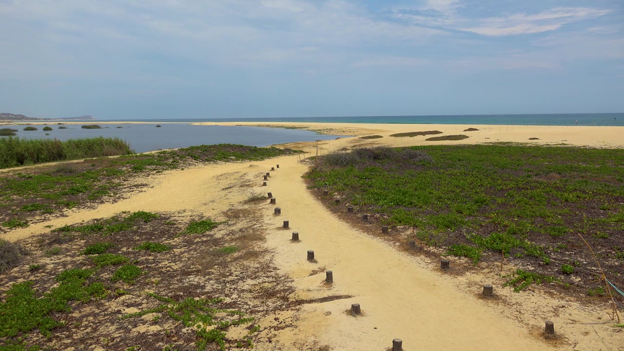 Sandy path and beach plants leading toward a pale sandbar and open water.