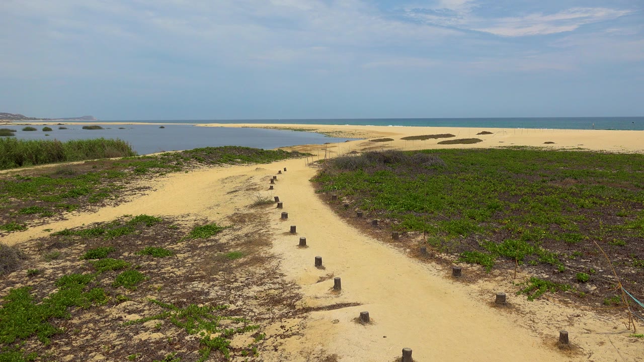 Sandy beach path in San Jose del Cabo, Mexico, with low green vegetation, short posts, distant dunes, blue water, and two small people visible on the path.
