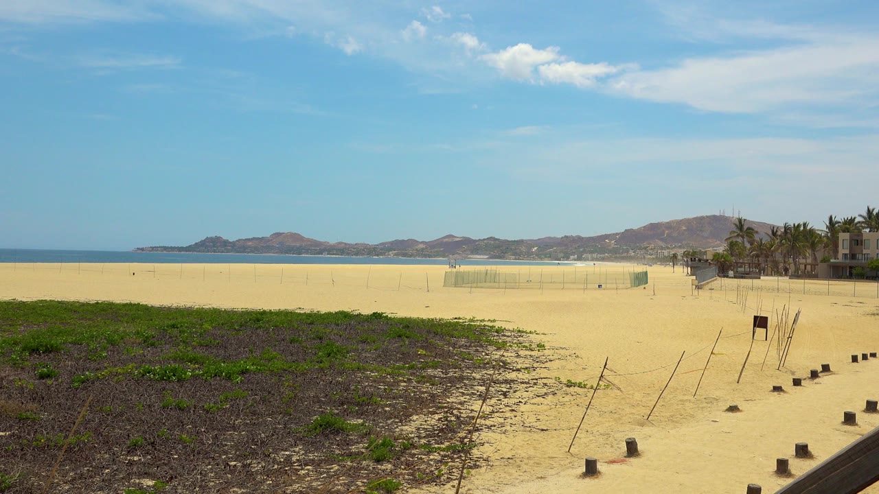 Opening view of a San Jose Del Cabo beach with scrubby foreground plants, pale sand, a fenced-off area near the water, distant hills, blue ocean, and no visible people.