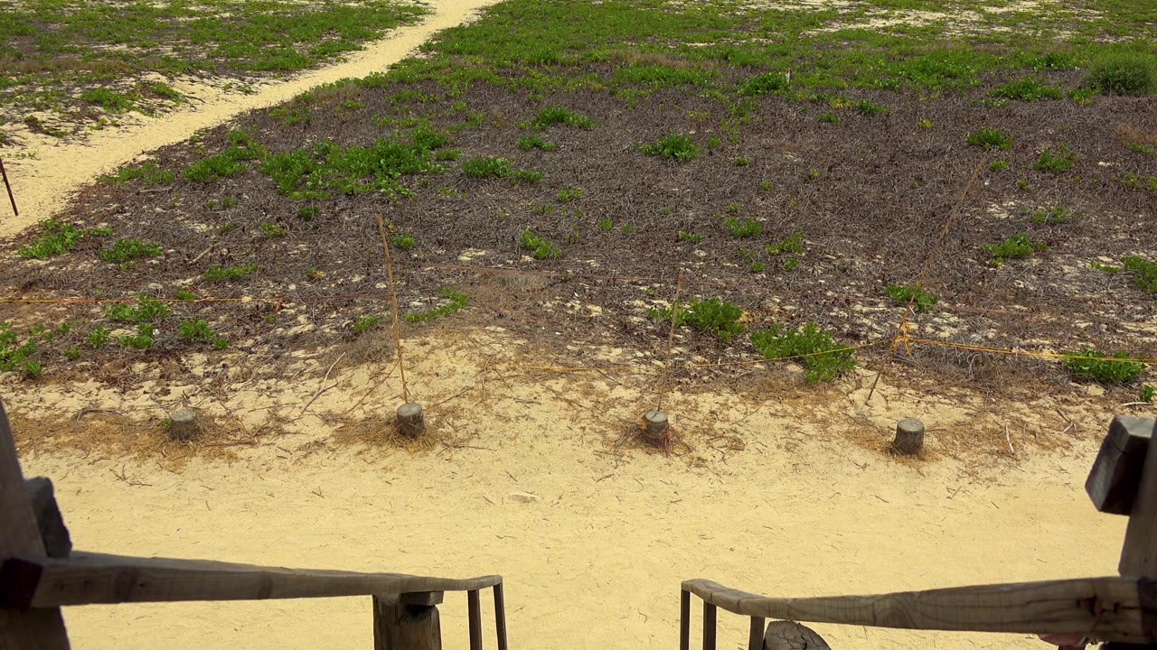 San Jose Del Cabo sand and mixed green and brown vegetation sit beyond a partial wooden deck rail, with no people visible in the frame.