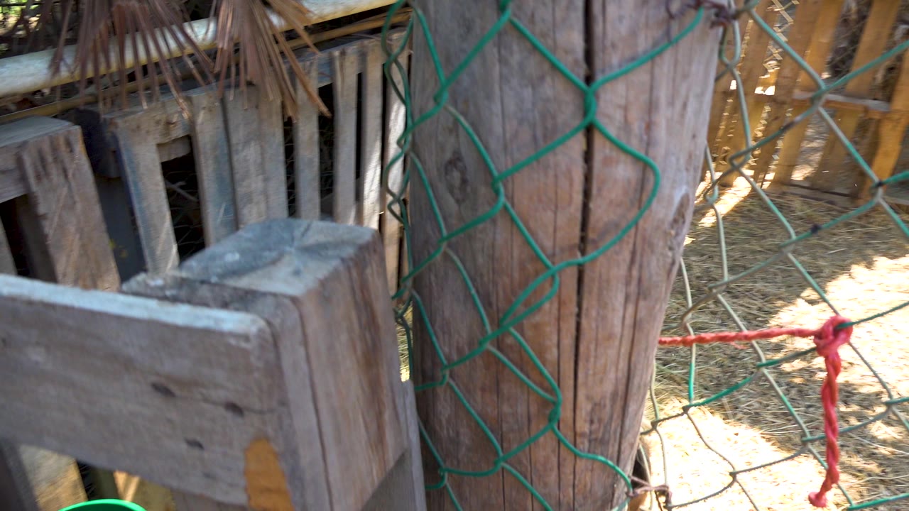 At the start of the San Jose del Cabo clip, a green wire fence and weathered wooden boards fill the foreground with straw visible behind them and no visible people.