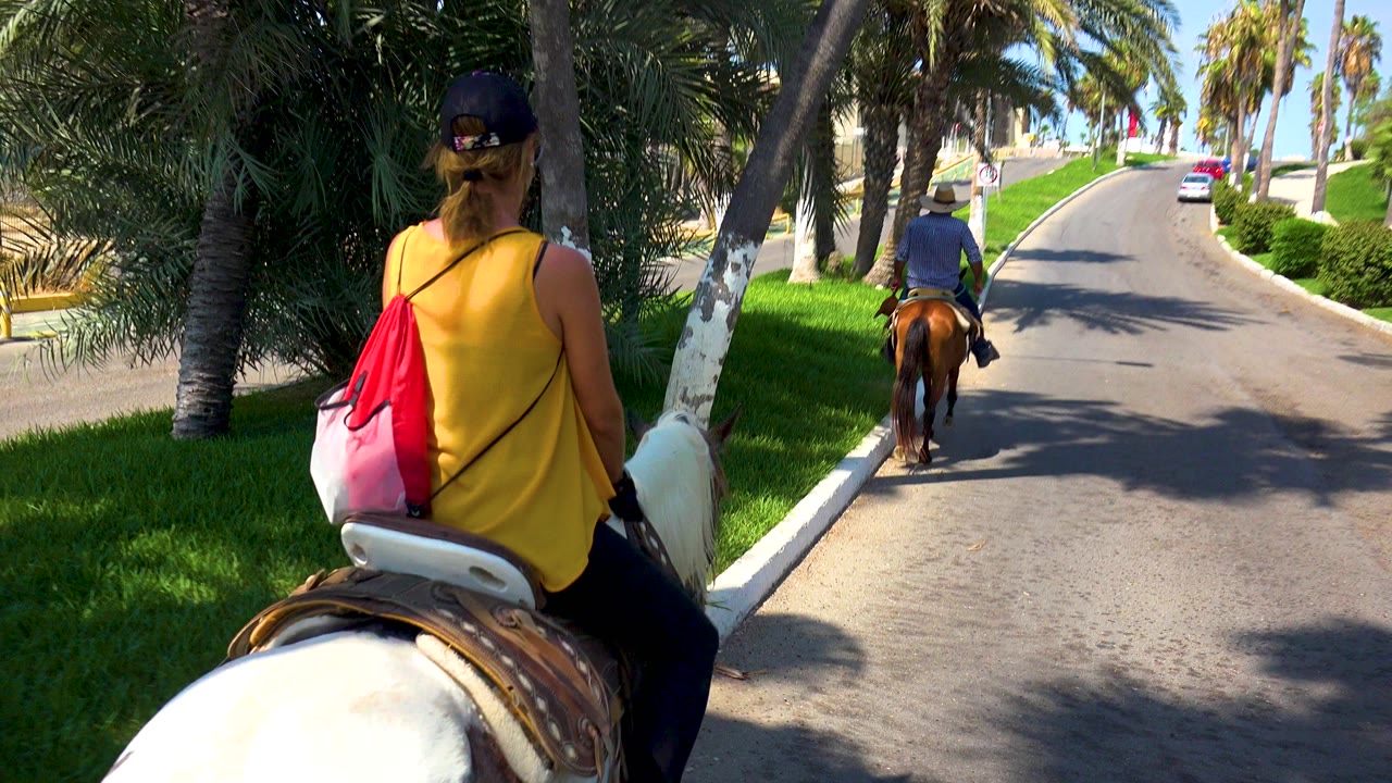 In San Jose del Cabo, Mexico, a woman in a yellow top rides a small white-and-brown pony behind another rider on a sunlit palm-lined path.
