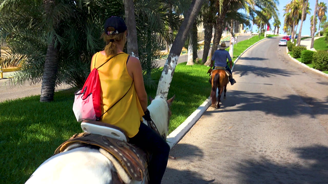 Pony rider following a horse along a bright path bordered by palms.