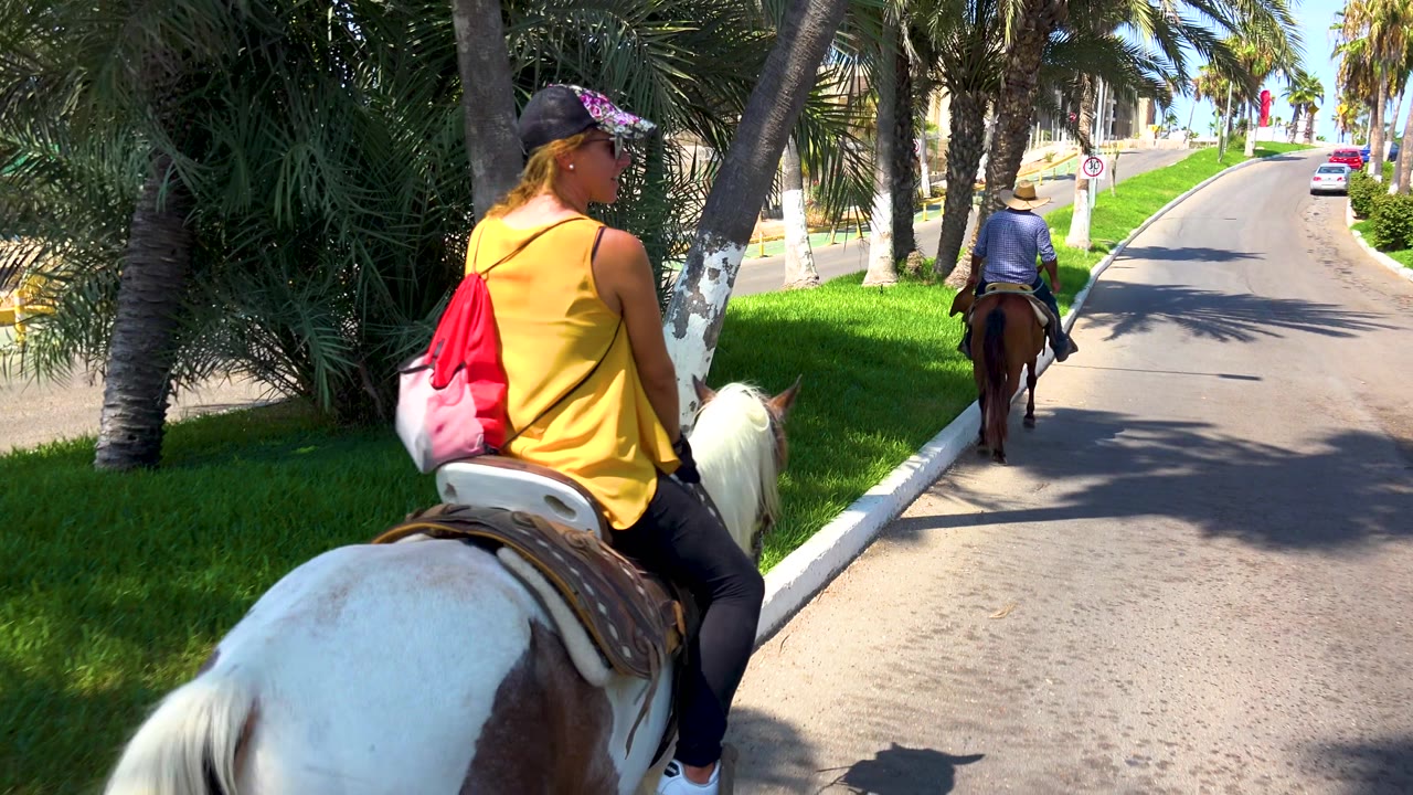 The woman on the pony is seen more from the side as she follows the lead rider along the sunny San Jose del Cabo path with palms and road in view.