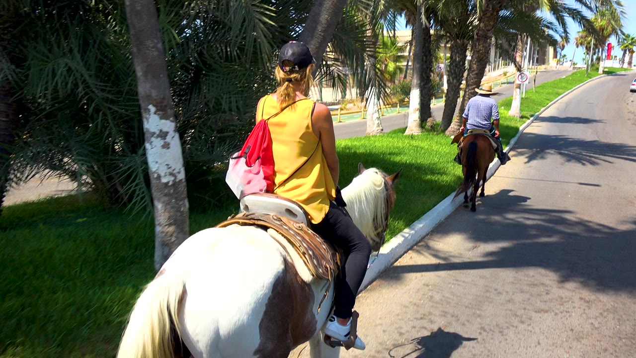 Two riders continue along a shaded palm-lined route.