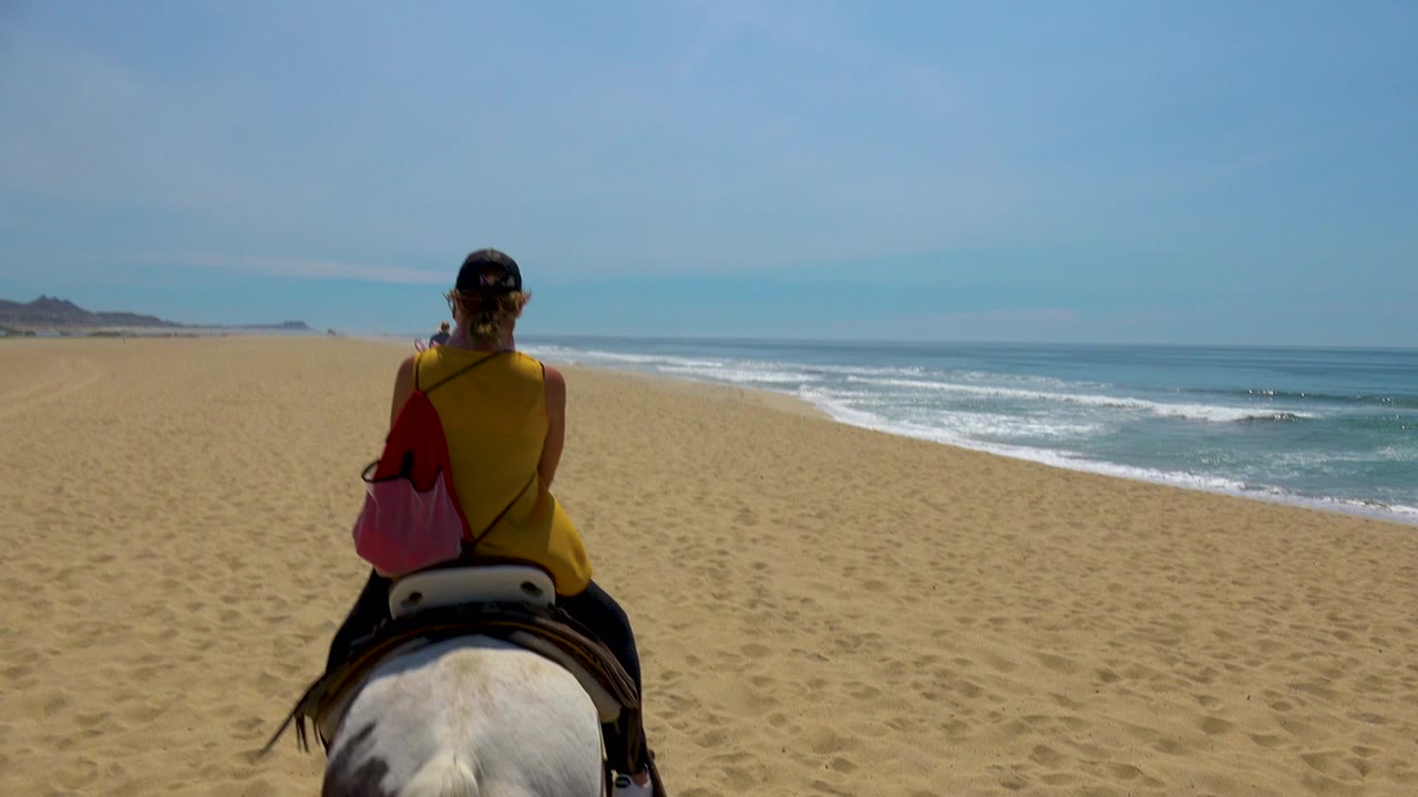 Back view of a horseback rider near the surf on an open beach.