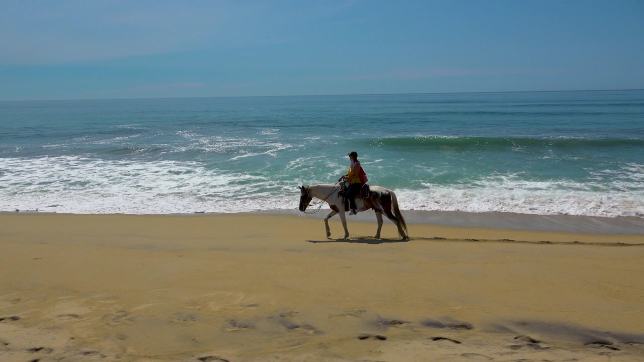 Horse and rider moving across beach sand with waves behind them.